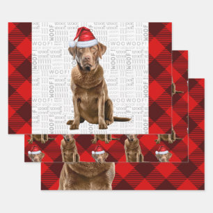 Chesapeake Bay Retriever Hondenvakantie Plaid Inpakpapier Vel