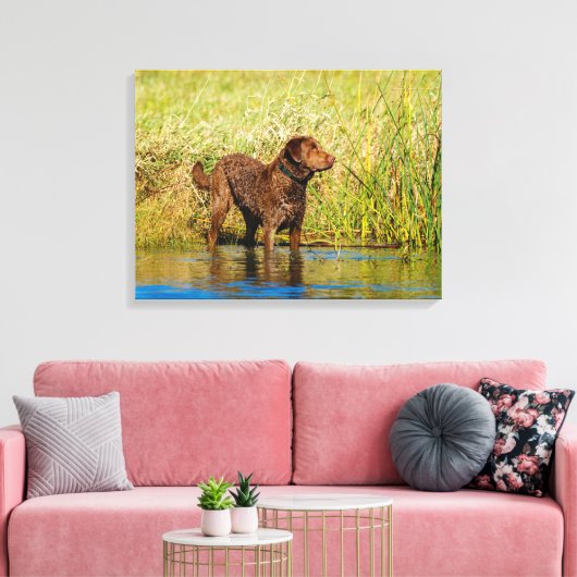 Chesapeake Bay Retriever Hunting Dog Canvas Wrap (Insitu (Woonkamer))