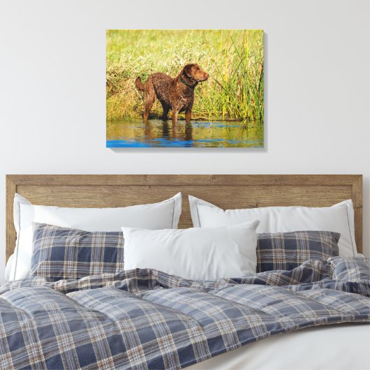 Chesapeake Bay Retriever Hunting Dog Canvas Wrap Afdruk (Insitu (Slaapkamer))