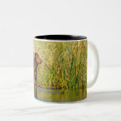 Chesapeake Bay Retriever Hunting Dog Coffee Mok (Voorkant rechts)