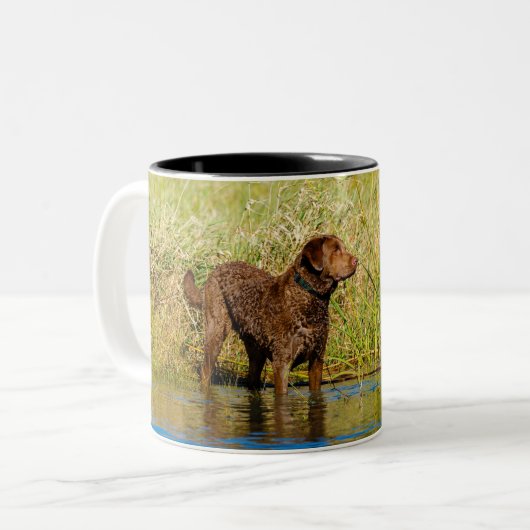 Chesapeake Bay Retriever Hunting Dog Coffee Mok (Voorkant links)