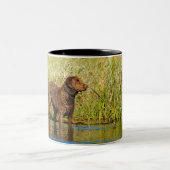 Chesapeake Bay Retriever Hunting Dog Coffee Mok (Center)