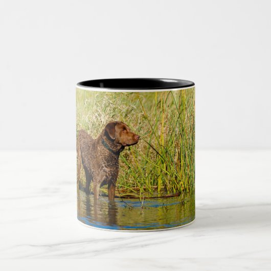 Chesapeake Bay Retriever Hunting Dog Coffee Mok (Center)