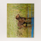 Chesapeake Bay Retriever Hunting Dog Jigzaag Puzzl Legpuzzel (Verticaal)