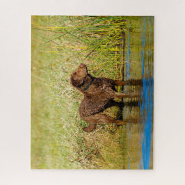 Chesapeake Bay Retriever Hunting Dog Jigzaag Puzzl Legpuzzel