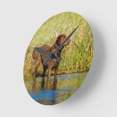 Chesapeake Bay Retriever Hunting Dog Wall Clock Ronde Klok (Hoek)