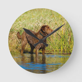 Chesapeake Bay Retriever Hunting Dog Wall Clock Ronde Klok