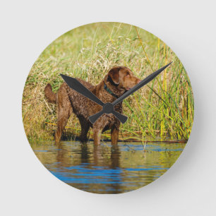 Chesapeake Bay Retriever Hunting Dog Wall Clock Ronde Klok