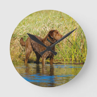 Chesapeake Bay Retriever Hunting Dog Wall Clock Ronde Klok
