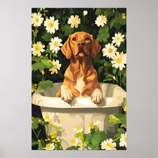 Chesapeake Bay Retriever In Bathtub Poster, Funny Poster (Voorkant)