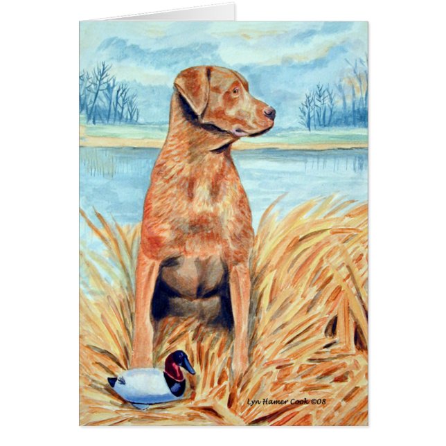 Chesapeake Bay Retriever-kaarten (Voorkant)