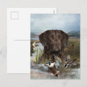 Chesapeake Bay Retriever, Kunst Feestdagenkaart (Voorkant / Achterkant)