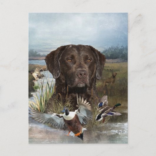 Chesapeake Bay Retriever, Kunst Feestdagenkaart (Voorkant)