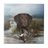 Chesapeake Bay Retriever, Kunst Tegeltje (Voorkant)