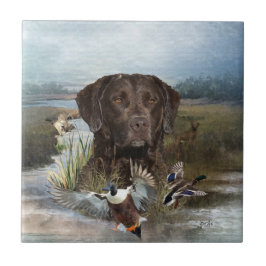 Chesapeake Bay Retriever, Kunst Tegeltje
