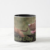 Chesapeake Bay Retriever Mok (Midden)