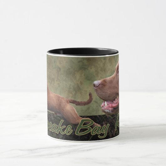 Chesapeake Bay Retriever Mok (Midden)