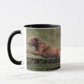 Chesapeake Bay Retriever Mok (Links)