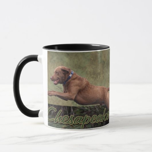 Chesapeake Bay Retriever Mok (Links)