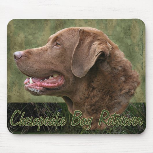Chesapeake Bay Retriever Mousepad Muismat (Voorkant)