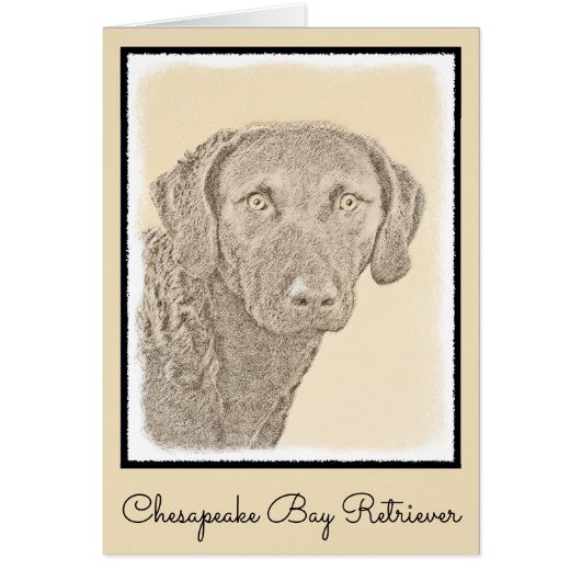 Chesapeake Bay Retriever originele hondkunst schil (Voorkant)