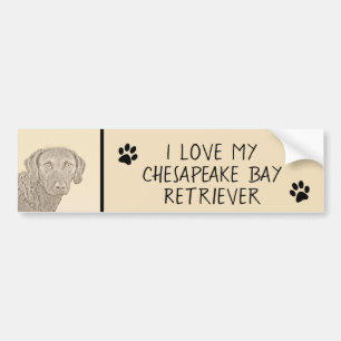 Chesapeake Bay Retriever originele hondkunst schil Bumpersticker