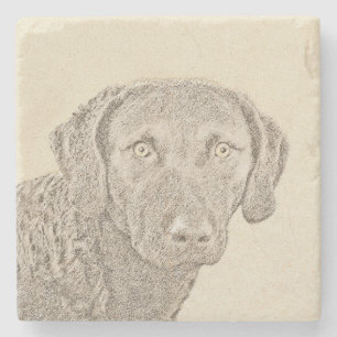Chesapeake Bay Retriever originele hondkunst schil Stenen Onderzetter