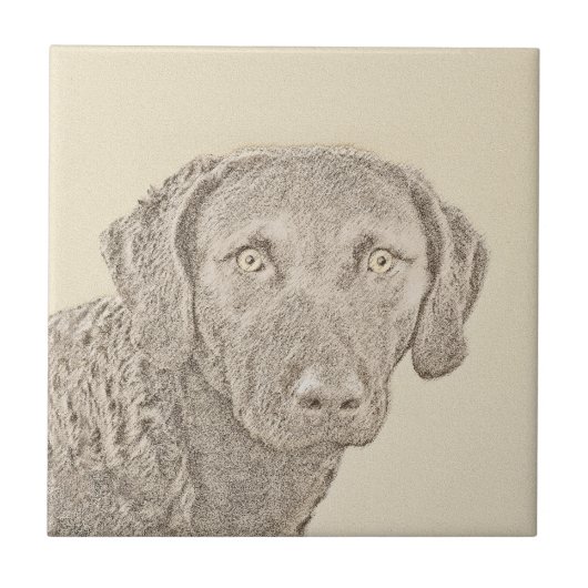 Chesapeake Bay Retriever originele hondkunst schil Tegeltje (Voorkant)