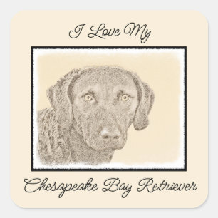 Chesapeake Bay Retriever originele hondkunst schil Vierkante Sticker