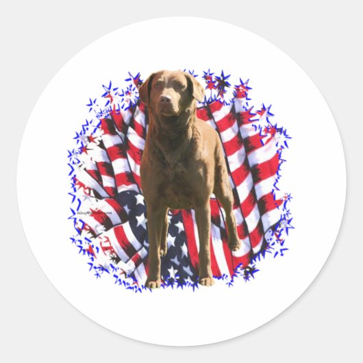 Chesapeake Bay Retriever Patriot Ronde Sticker (Voorkant)