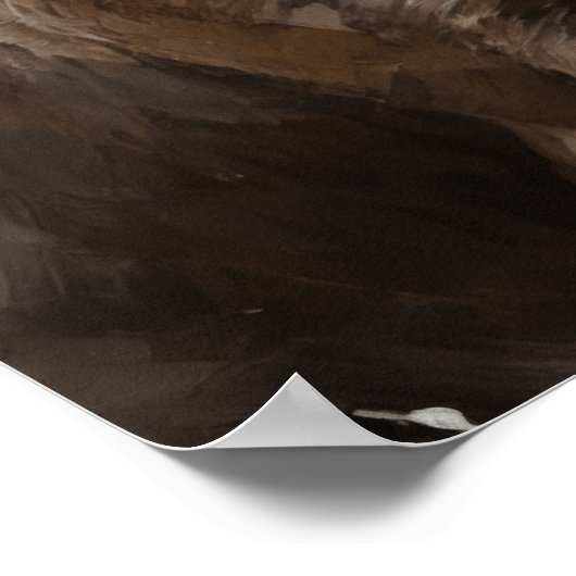 Chesapeake Bay Retriever Poster (Hoek)