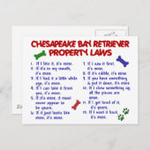 CHESAPEAKE BAY RETRIEVER Property Wetten 2 Briefkaart (Voorkant / Achterkant)