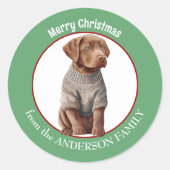 Chesapeake Bay Retriever Pup in Winter Sweater Ronde Sticker (Voorkant)