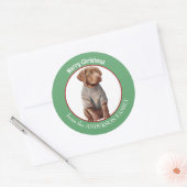 Chesapeake Bay Retriever Pup in Winter Sweater Ronde Sticker (Envelop)
