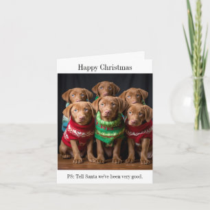 Chesapeake Bay Retriever Puppies Kerst Kaart