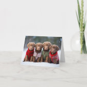 Chesapeake Bay Retriever Puppies Kerst Kaart (Voorkant)