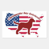 Chesapeake Bay Retriever Rechthoekige Sticker (Voorkant)