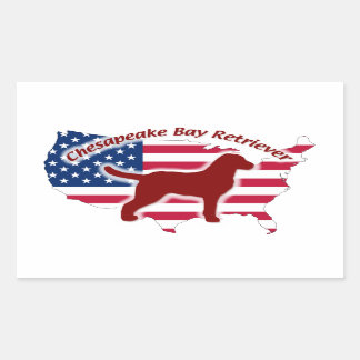 Chesapeake Bay Retriever Rechthoekige Sticker