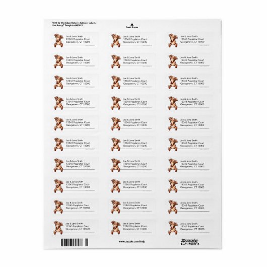 Chesapeake Bay Retriever reinigen Eenvoudig Etiket (Full Sheet)