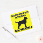 Chesapeake Bay Retriever-sticker Vierkante Sticker (Envelop)
