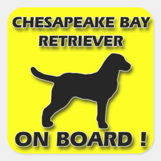 Chesapeake Bay Retriever-sticker Vierkante Sticker