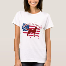 Chesapeake Bay Retriever