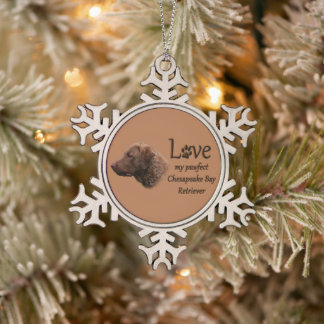 Chesapeake Bay Retriever Tin Sneeuwvlok Ornament
