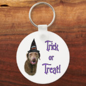Chesapeake Bay Retriever Trick Sleutelhanger (Voorkant)