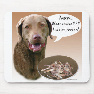 Chesapeake Bay Retriever Turkije Muismat