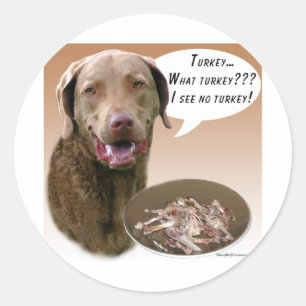 Chesapeake Bay Retriever Turkije Ronde Sticker
