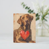 Chesapeake Bay retriever  Valentijnsdag Briefkaart (Staand voorkant)