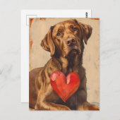 Chesapeake Bay retriever  Valentijnsdag Briefkaart (Voorkant / Achterkant)