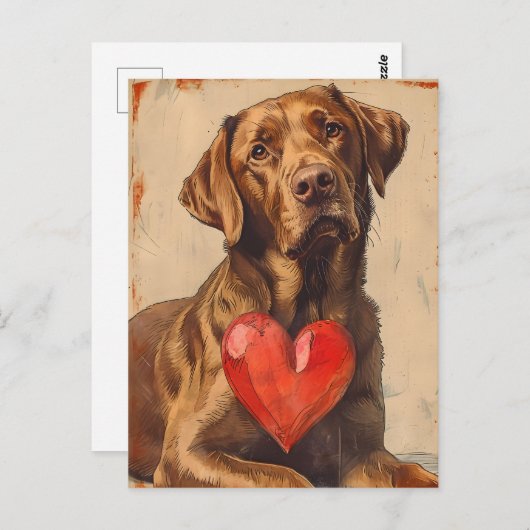 Chesapeake Bay retriever  Valentijnsdag Briefkaart (Voorkant / Achterkant)