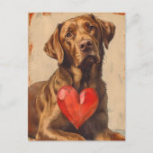 Chesapeake Bay retriever  Valentijnsdag Briefkaart (Voorkant)